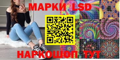 спиды Донской