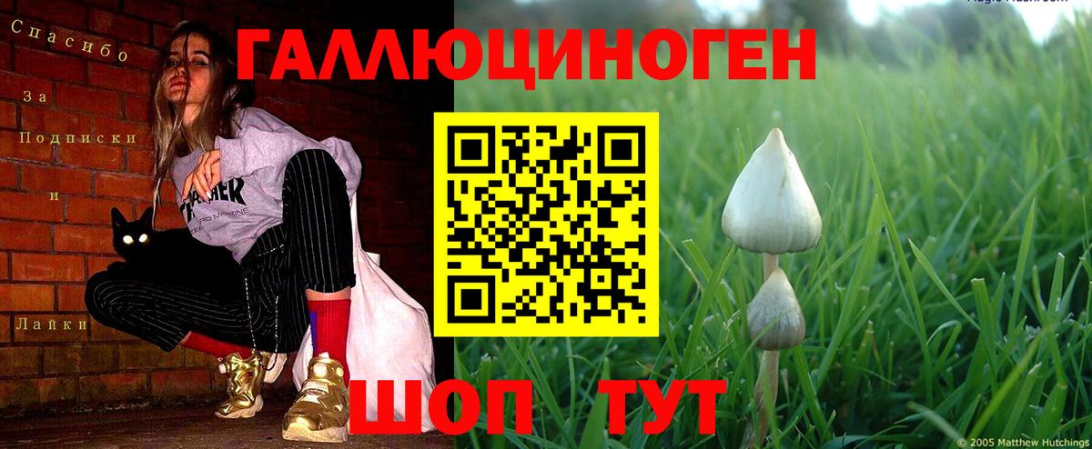 Псилоцибиновые грибы ЛСД Дюртюли